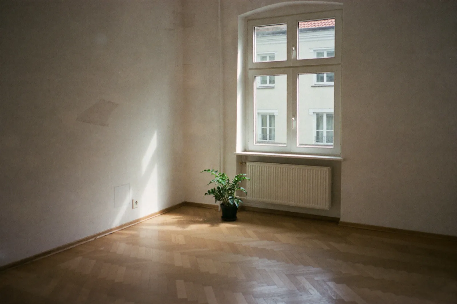 Leeres, helles Wohnzimmer einer Altbau-Mietwohnung mit Sprossenfenster, Heizkörper, Fischgrätparkett und einer Grünpflanze im Tageslicht